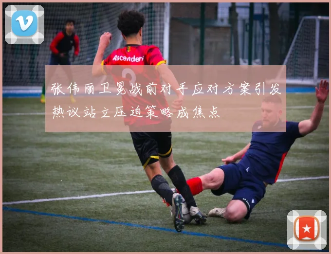 张伟丽卫冕战前对手应对方案引发热议站立压迫策略成焦点